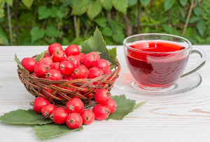 Broth Hawthorn