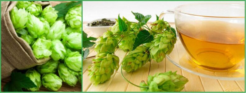 Decoction of hop cones for potency after 50