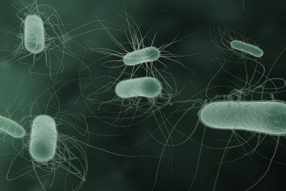 Microorganisms that cause a pathological discharge when excited