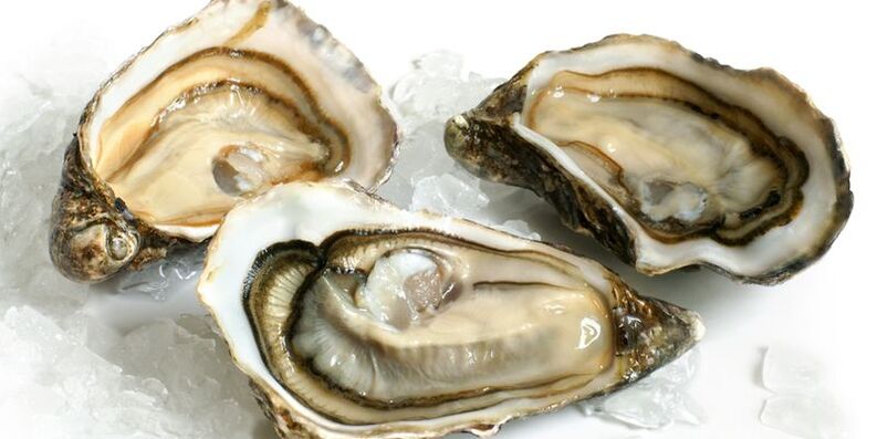 Oysters for potency photo 2