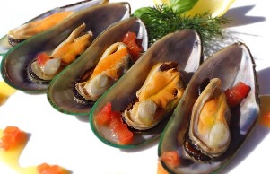 Mussels