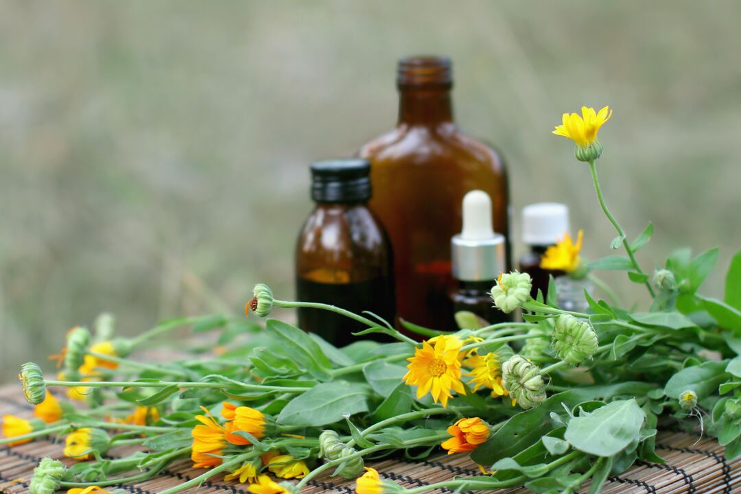 Elecampane – a folk remedy for sexual arousal with reduced potency