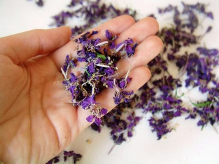 Medicines are made from dried willowherb flowers