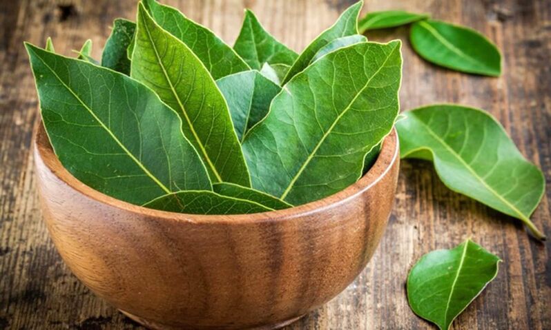 Laurel