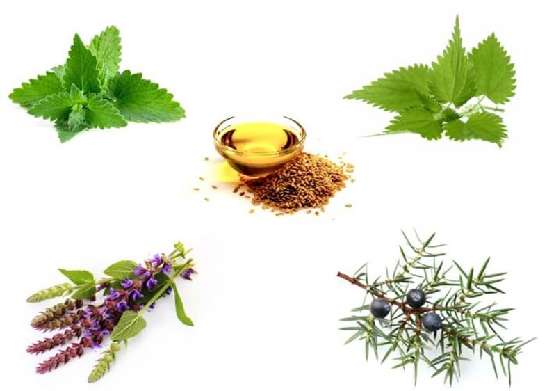 Mint, nettle, thyme, juniper and linseed oil