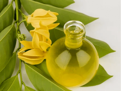 Aromatherapy to improve effectiveness