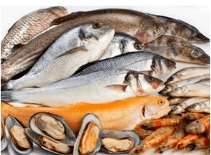 seafood